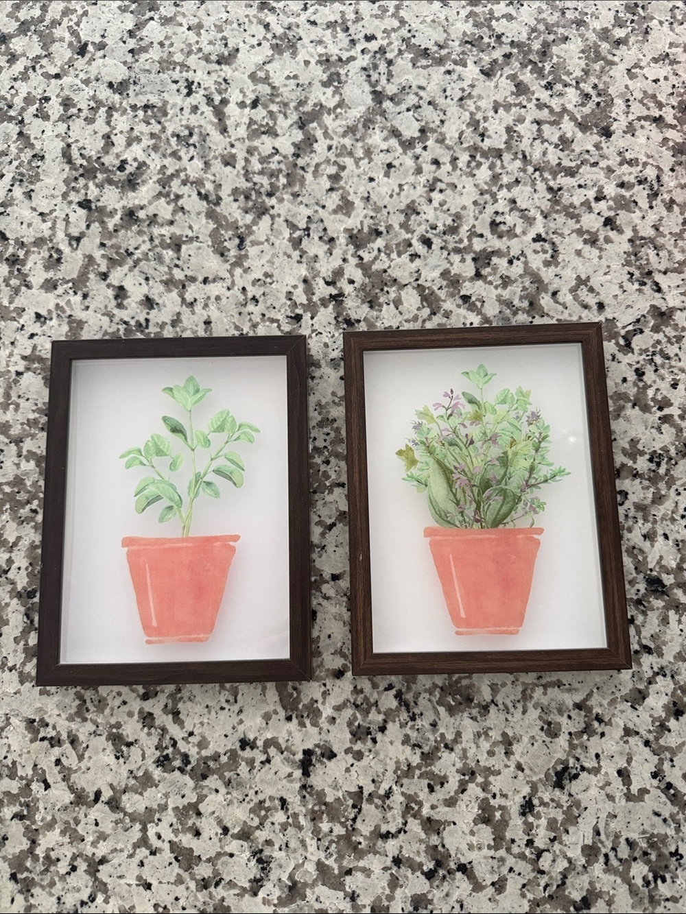 Set of 2 Framed Potted Plant Watercolor Prints - Coral Pots, Green Foliage